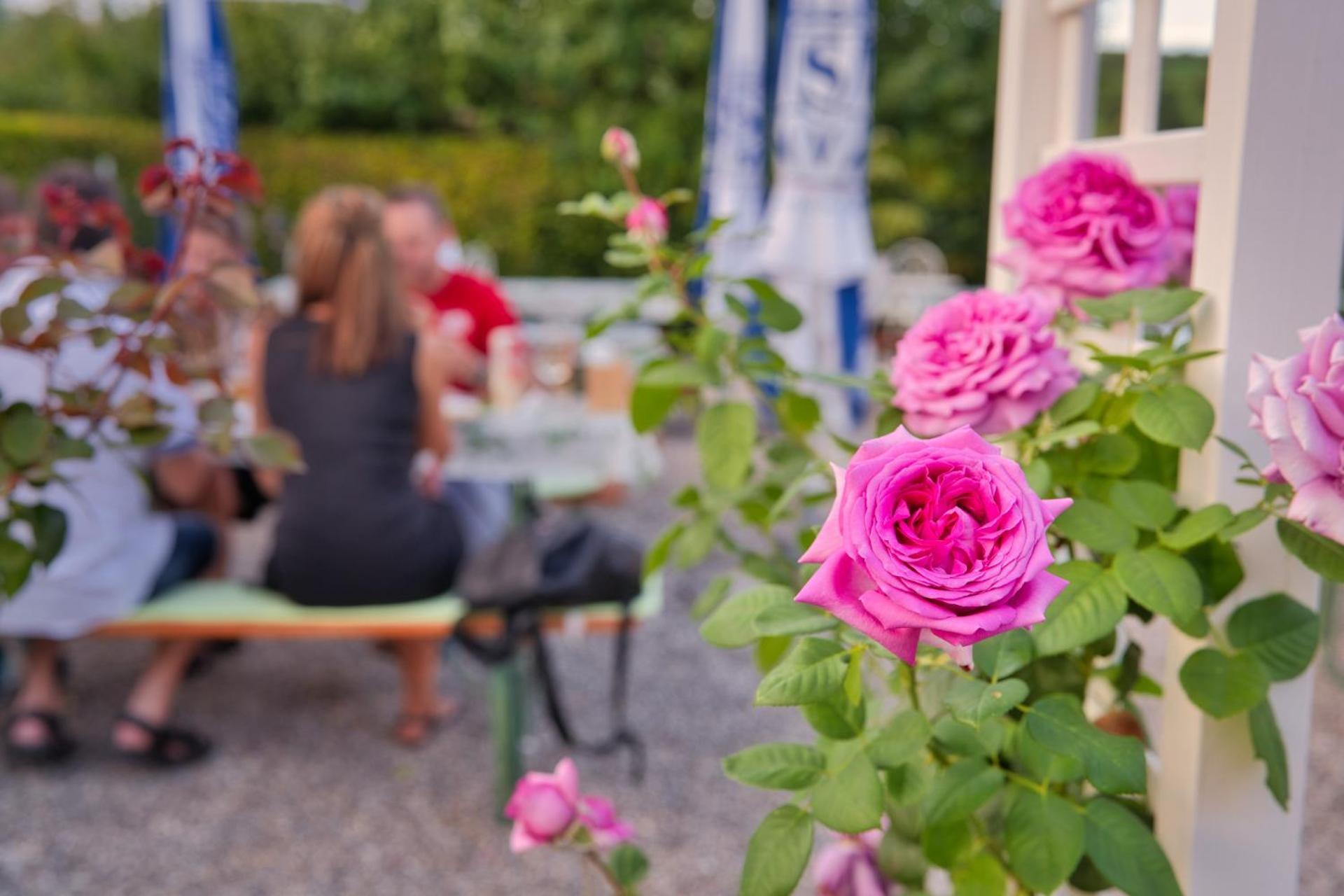 Gasthaus Zur Rose Aalen Kültér fotó